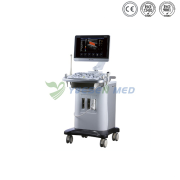Ysb6000PE Medical Mobile Color Trolley Ultrasound